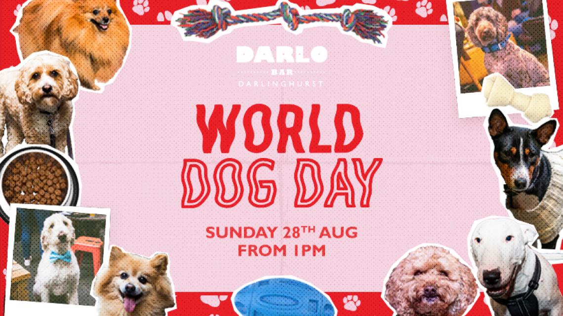 World Dog Day at Darlo